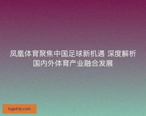 凤凰体育聚焦中国足球新机遇 深度解析国内外体育产业融合发展