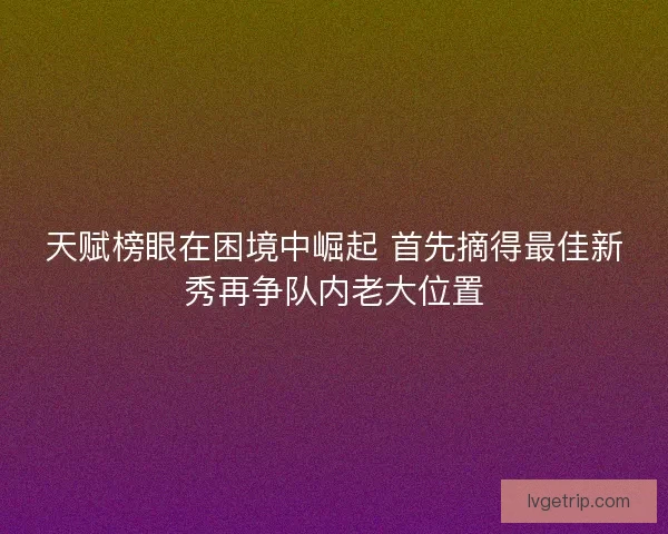 天赋榜眼在困境中崛起 首先摘得最佳新秀再争队内老大位置 天赋榜眼在困境中崛起 首先摘得最佳新秀再争队内老大位置