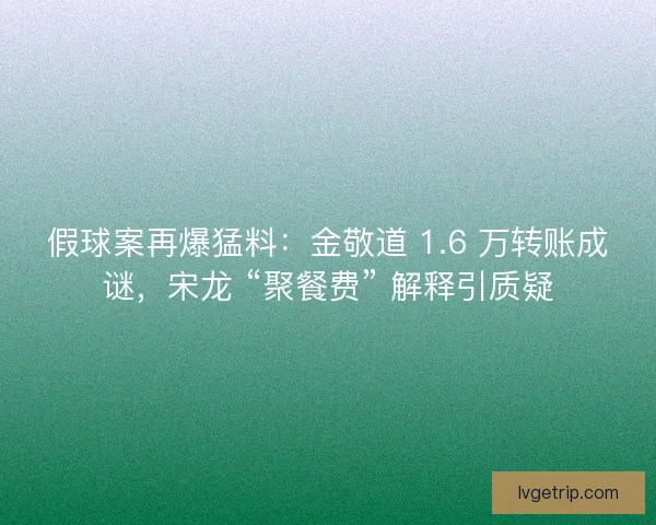 假球案再爆猛料：金敬道 1.6 万转账成谜，宋龙 “聚餐费” 解释引质疑