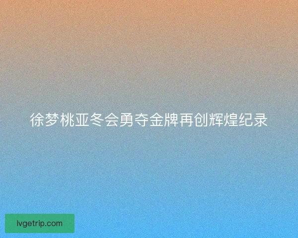 徐梦桃亚冬会勇夺金牌再创辉煌纪录 徐梦桃亚冬会勇夺金牌再创辉煌纪录